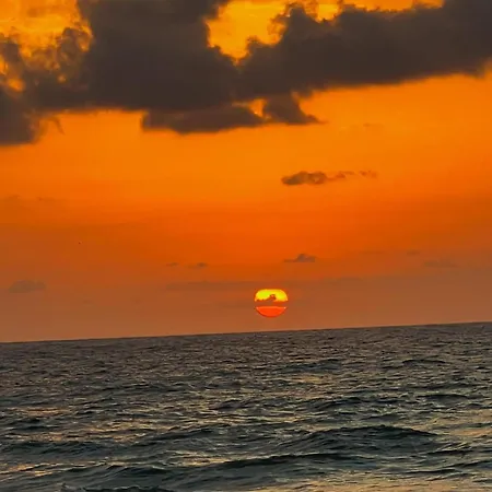 Locos-luz De Mar Torrevieja