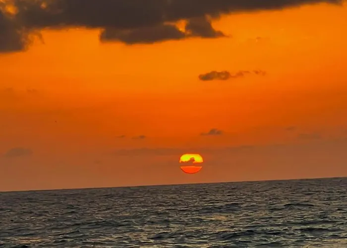 Locos-luz De Mar Torrevieja